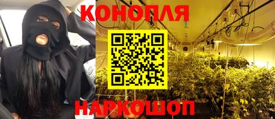 сатива Обнинск